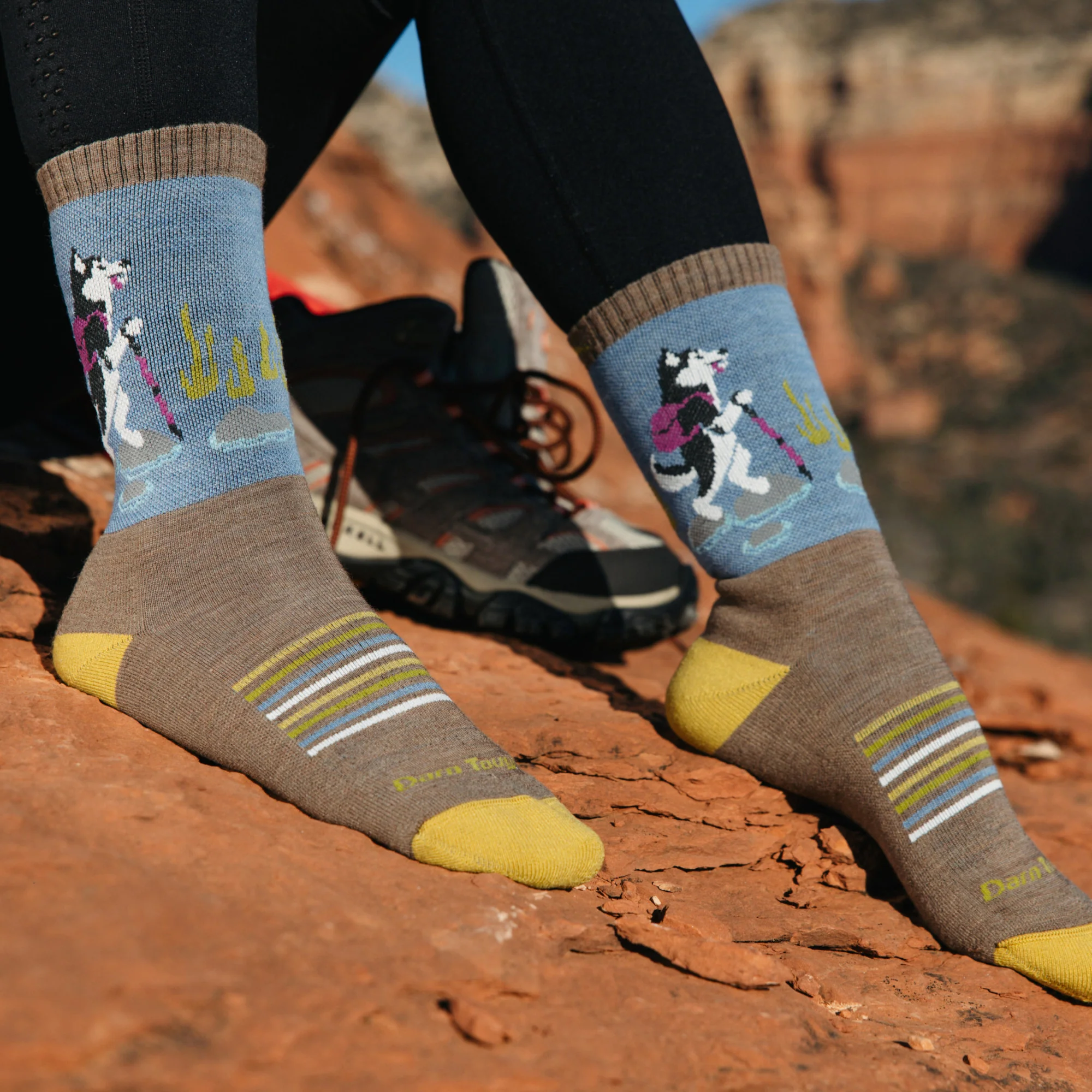 Women's Critter Club Micro Crew Lightweight Hiking Socks - Image 13