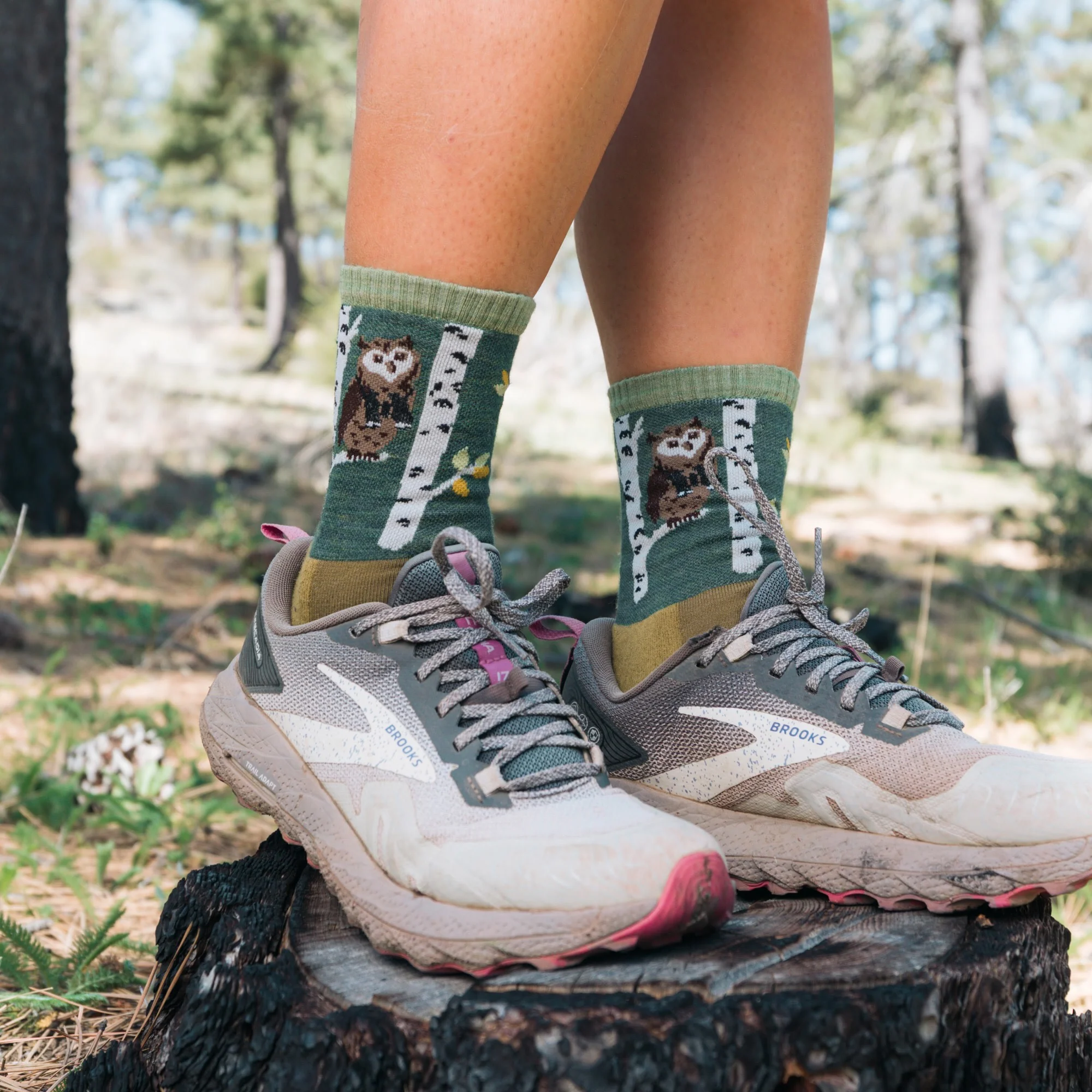 Women's Critter Club Micro Crew Lightweight Hiking Socks - Image 22